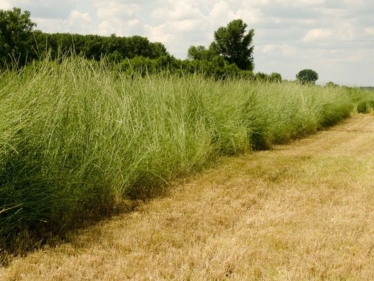 Foto: Landwirtschaftskammer NRW