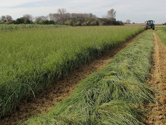 Foto: Landwirtschaftskammer NRW